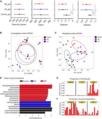 The Role of Intestinal Microbiota in Regulating the Metabolism of Bile Acids Is Conserved Across Vertebrates